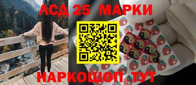 молекула духа Ставрополь