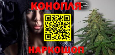 молекула духа Ставрополь