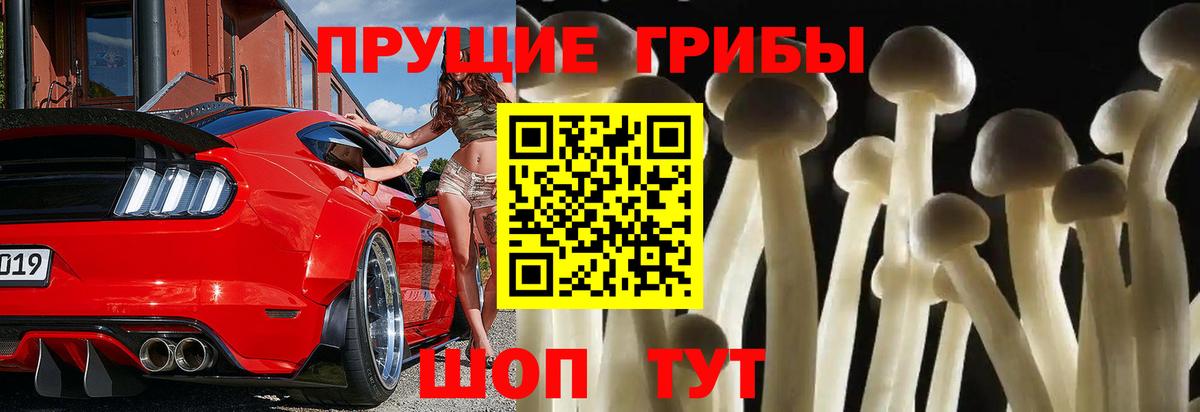 Псилоцибиновые грибы Cubensis Мытищи
